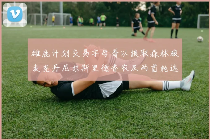 雄鹿计划交易字母哥以换取森林狼麦克丹尼尔斯里德香农及两首轮选秀权