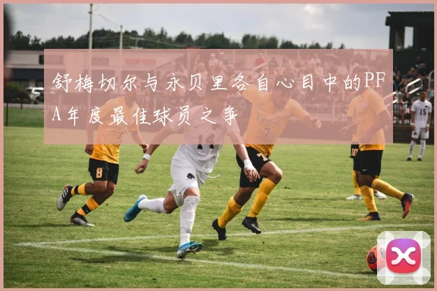 舒梅切尔与永贝里各自心目中的PFA年度最佳球员之争