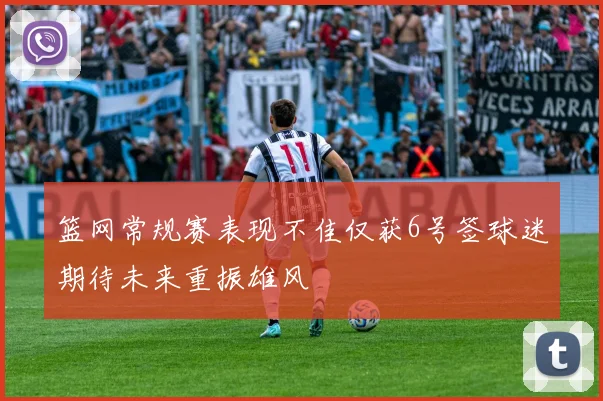 篮网常规赛表现不佳仅获6号签球迷期待未来重振雄风